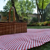 Castellanza, torna il pic-nic solidale: il 4 settembre una cena in piazza a sostegno dell’Alzheimer Café Accorsi Castellanza, torna il pic-nic solidale: il 4 settembre una cena in piazza a sostegno dell’Alzheimer Café Accorsi