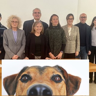 VIDEO. «Mi fido di te»: così i cani aiuteranno i detenuti di Busto a ritrovare speranza e lavoro