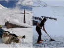 Le foto postate dal rifugio Maria Luisa Le foto postate dal rifugio Maria Luisa