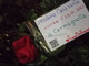 Una linea di 68 rose rosse: l'argine di Sant'Anna alla violenza sulle donne