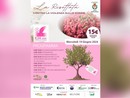 Una serata benefica per il Centro Antiviolenza E.VA ODV di Busto Arsizio