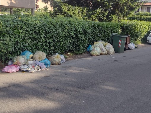 Via Lamarmora e la guerra dei rifiuti: «Qui ci vogliono le telecamere»