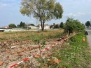 Busto: in via del Roccolo si camminerà nel verde, al parco De Curtis si alleneranno fisico e mente Busto: in via del Roccolo si camminerà nel verde, al parco De Curtis si alleneranno fisico e mente