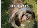 Ritrovata Charlotte a Castellanza