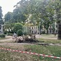 Ramo caduto nel parco di via Foscolo,  ordine di rimuovere la pianta malata
