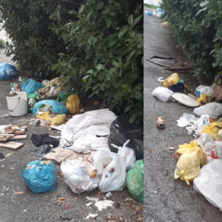 «Via dei Mille, che tristezza quei rifiuti»