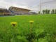 lo stadio Speroni - foto di Daniele Belosio