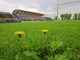 lo stadio Speroni - foto di Daniele Belosio