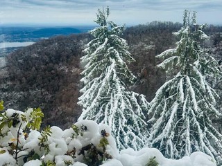 La vista dalla finestra di un residente La vista dalla finestra di un residente