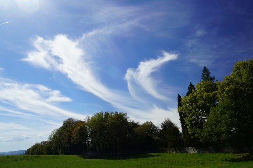 Domina l'anticiclone con sole e massime anche di 26 gradi. Lieve calo e qualche nuvola da metà settimana Domina l'anticiclone con sole e massime anche di 26 gradi. Lieve calo e qualche nuvola da metà settimana