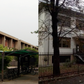 Il Carnevale sostenibile del Galilei: «Proteggere l’ambiente è uno sport di squadra» Il Carnevale sostenibile del Galilei: «Proteggere l’ambiente è uno sport di squadra»