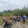 Attivisti del Comitato Salviamo gli alberi