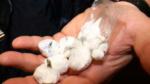 Operazione di controllo del territorio nell’Oltrestazione: sequestrati cocaina e hashish