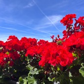 METEO. Ponte del 1° maggio da grigliate: dopo la pioggia ritorna l’anticipo d’estate