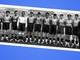 La foto storica che segna l'inizio della vita della Spal