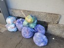 Busto, l’appello di Agesp cade nel vuoto: i sacchi non conformi rimangono esposti