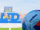 Riparte il 6 settembre la serie D: chi ci sarà del Bustese? Riparte il 6 settembre la serie D: chi ci sarà del Bustese?