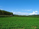Domenica con punte di 26 gradi. Ma in settimana tornano nuvole e temporali