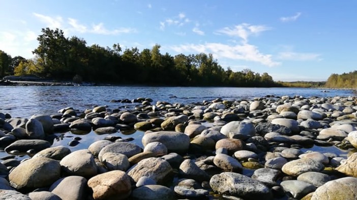 L'appello del Parco: «Non fare il bagno nel Ticino, il divieto serve a salvarti la vita» L'appello del Parco: «Non fare il bagno nel Ticino, il divieto serve a salvarti la vita»