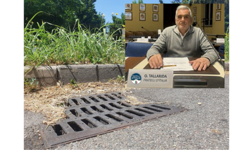 Zanzare, disinfestazioni anticipate a Busto. Interventi su 8mila tombini