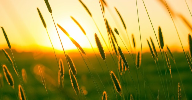 GLI APPUNTAMENTI. Il weekend si sveglia al tramonto nel Bustese GLI APPUNTAMENTI. Il weekend si sveglia al tramonto nel Bustese
