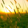 GLI APPUNTAMENTI. Il weekend si sveglia al tramonto nel Bustese GLI APPUNTAMENTI. Il weekend si sveglia al tramonto nel Bustese