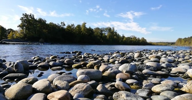 L'appello del Parco: «Non fare il bagno nel Ticino, il divieto serve a salvarti la vita» L'appello del Parco: «Non fare il bagno nel Ticino, il divieto serve a salvarti la vita»