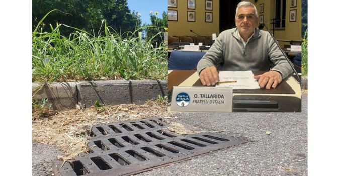 Zanzare, Tallarida: «La disinfestazione chimica preventiva è vietata. Fondamentale la collaborazione dei cittadini»