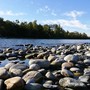 L'appello del Parco: «Non fare il bagno nel Ticino, il divieto serve a salvarti la vita» L'appello del Parco: «Non fare il bagno nel Ticino, il divieto serve a salvarti la vita»