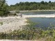 Il fiume Ticino (Archivio)