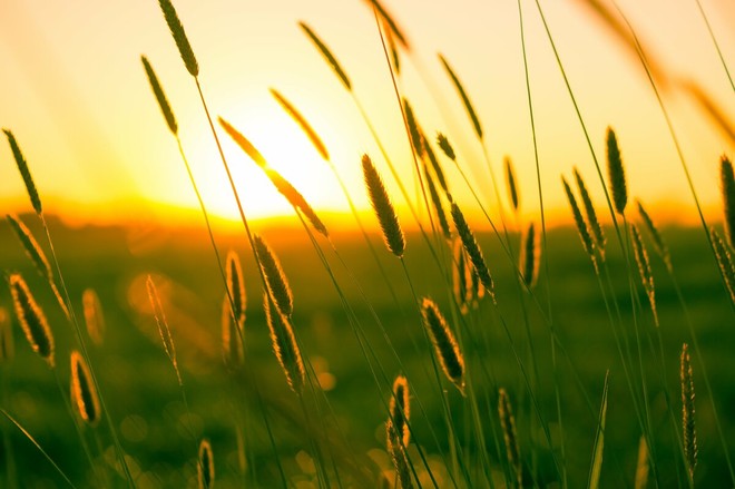 GLI APPUNTAMENTI. Il weekend si sveglia al tramonto nel Bustese GLI APPUNTAMENTI. Il weekend si sveglia al tramonto nel Bustese