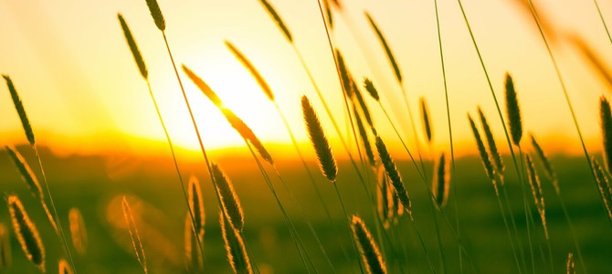 GLI APPUNTAMENTI. Il weekend si sveglia al tramonto nel Bustese