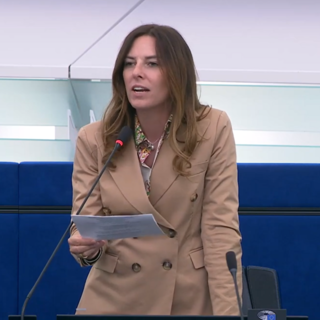Flat tax, Tovaglieri: «No a crociata della Ue contro Partite Iva»