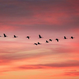 “La verità vi renderà liberi”: il concorso “Sole d’Autunno” sfida l’era delle illusioni