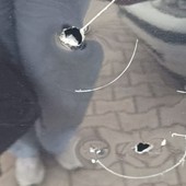 Le immagini diffuse dal servizio della Rai