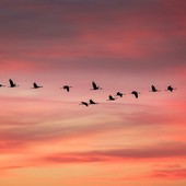 “La verità vi renderà liberi”: il concorso “Sole d’Autunno” sfida l’era delle illusioni