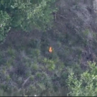 Vibo Valentia, appicca il fuoco in un bosco ma viene ripreso da un drone