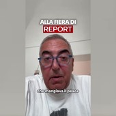 Caso Ranucci, Gasparri 'canta' Branduardi: "Alla fiera di Report non si capisce più chi incontrava chi" Caso Ranucci, Gasparri 'canta' Branduardi: "Alla fiera di Report non si capisce più chi incontrava chi"