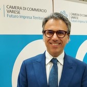 Il presidente della Camera di Commercio Mauro Vitiello Il presidente della Camera di Commercio Mauro Vitiello