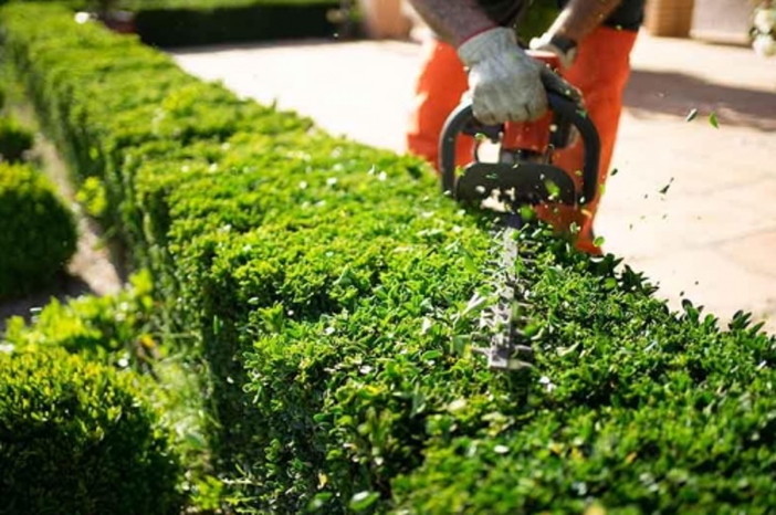 Castellanza: stretta di mano tra Amga e Comune per la manutenzione del verde pubblico