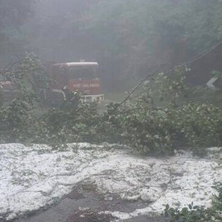 Maltempo in Lombardia, vigili del fuoco ancora in azione per alberi pericolanti, allagamenti e dissesti. Soprattutto a Milano