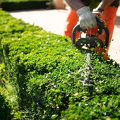 Castellanza: stretta di mano tra Amga e Comune per la manutenzione del verde pubblico Castellanza: stretta di mano tra Amga e Comune per la manutenzione del verde pubblico
