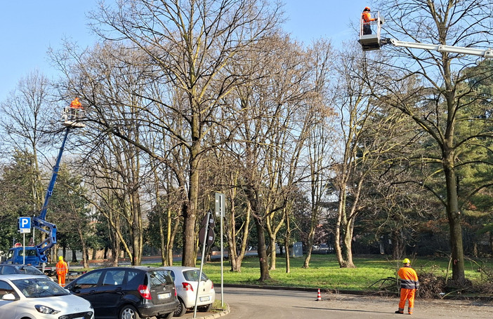 Castellanza, al via la manutenzione straordinaria del verde