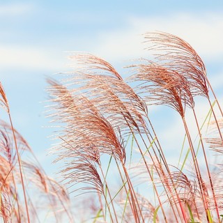Oggi arriva il vento e fa salire le temperature. Bel tempo fino a sabato, domenica peggioramento con neve oltre 700 metri