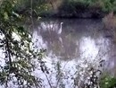Meravigliosi incontri. Dalla pagina Facebook del Gruppo di cammino fagnanese Meravigliosi incontri. Dalla pagina Facebook del Gruppo di cammino fagnanese