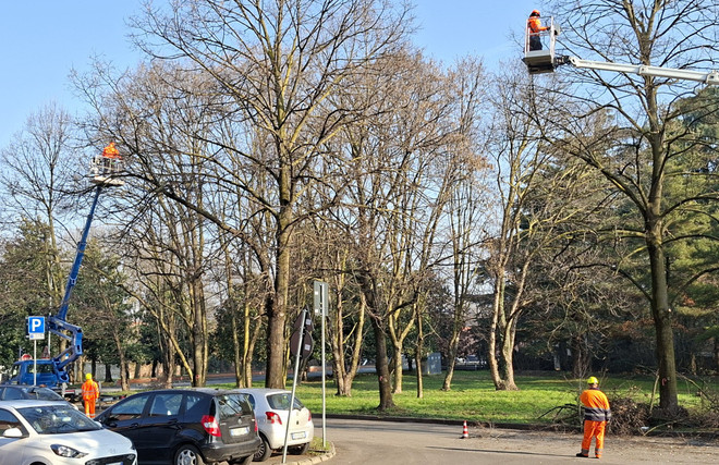 Castellanza, al via la manutenzione straordinaria del verde