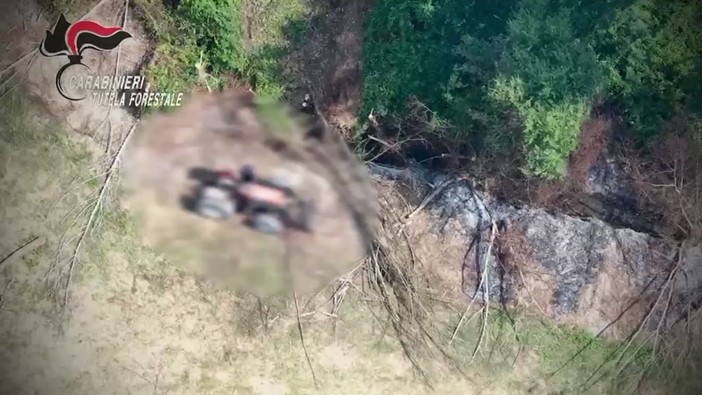 Calabria, arrestato dopo aver appiccato un incendio: era stato ripreso da un drone Calabria, arrestato dopo aver appiccato un incendio: era stato ripreso da un drone
