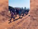 Proteste anti-immigrazione in Sudafrica, la marcia contro gli irregolari Proteste anti-immigrazione in Sudafrica, la marcia contro gli irregolari