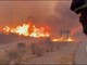 Incendio devastante in Andalusia, i vigili del fuoco cercano di domare le fiamme Incendio devastante in Andalusia, i vigili del fuoco cercano di domare le fiamme