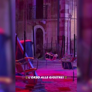 Un orso tra le giostre della festa di Villa Scontrone nell'Aquilano